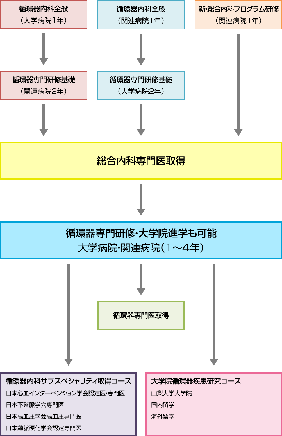 循環器内科後期研修プログラム